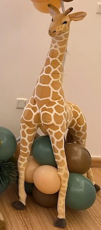 Giraffe