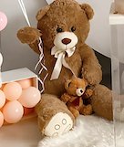 Brown Teddy