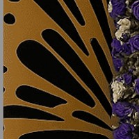 Butterfly stand