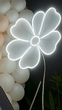 Illuminous Flower