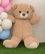 Teddy bear