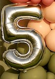 Balloon number