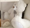 Small White Teddy