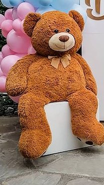 Teddy bear