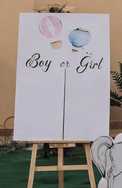Boy or Girl activity board