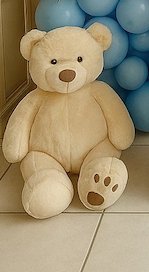 Teddy Bear